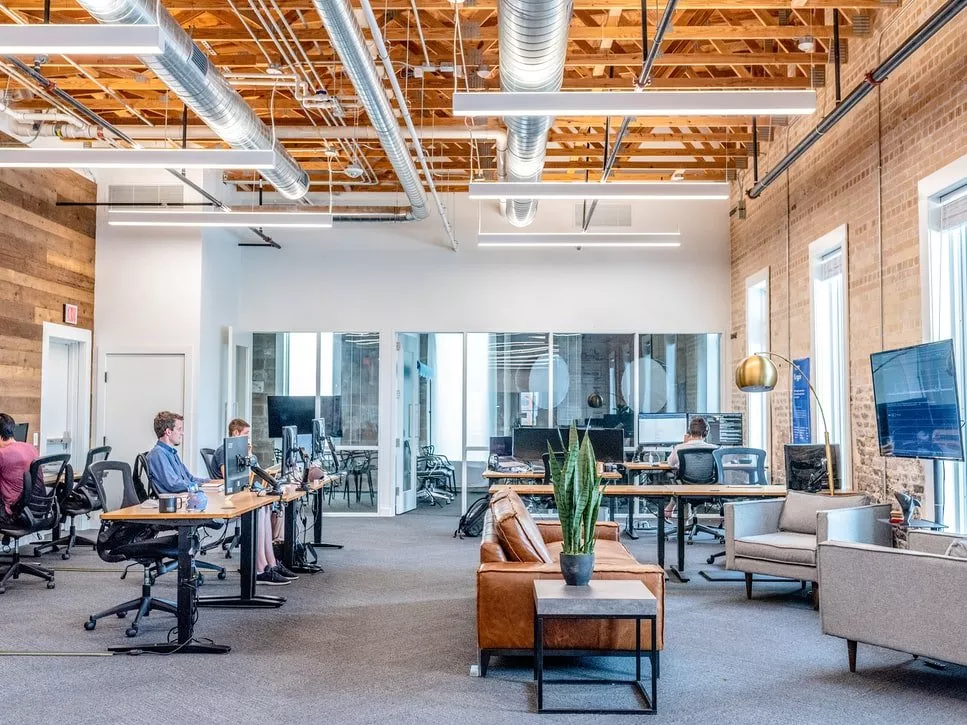 people sitting in their office working