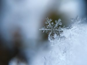 A snowflake