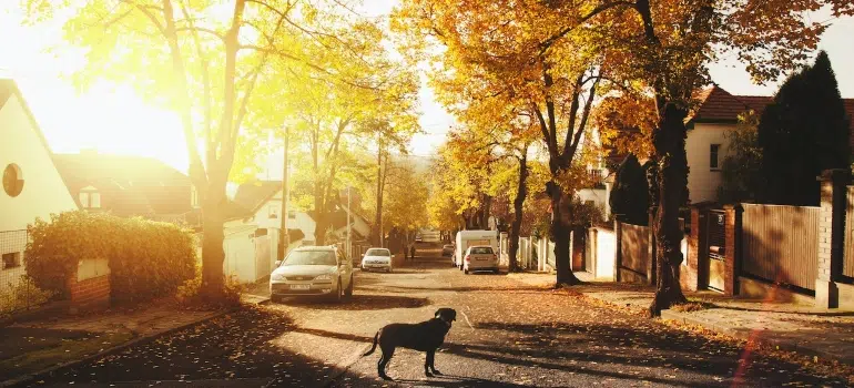 Picture of a street in one of the places to retire in New Jersey